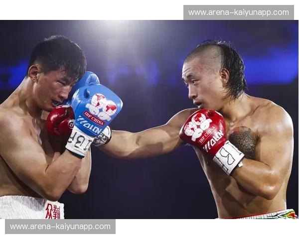 拳击世界冠军赛数据揭秘:震撼背后的硬核统计与荣耀时刻